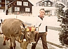 1982 Gütschler.jpg 1982 Gütschler.jpg