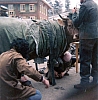 1982 neun.jpg 1982 neun.jpg