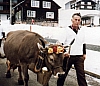 GuetschSeff1982.JPG GuetschSeff1982.JPG