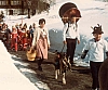1983 sechs.jpg 1983 sechs.jpg