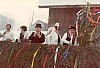 1983 sieben.jpg 1983 sieben.jpg