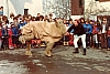 1983 vier.jpg 1983 vier.jpg