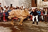 1983 zehn.jpg 1983 zehn.jpg