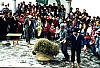 BMBeat1995.JPG BMBeat1995.JPG