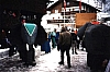 BMElefant21995.JPG BMElefant21995.JPG