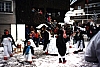 BMUmzugPinguin21995.JPG BMUmzugPinguin21995.JPG