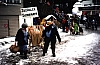 BMUmzugSennmatt1995.JPG BMUmzugSennmatt1995.JPG