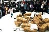 BLErwin1996.JPG BLErwin1996.JPG