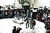 BLPit1996.JPG BLPit1996.JPG
