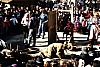 BKGruessler21997.JPG BKGruessler21997.JPG