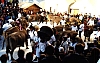 UmzugVieh1999.JPG UmzugVieh1999.JPG