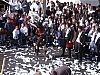 Schluss3.jpg Schluss3.jpg