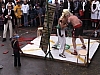 DSC00173.JPG