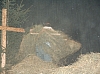 213.jpg 213.jpg