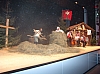 215.jpg 215.jpg