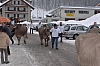 Sennenchilbi 2006 (042).jpg Sennenchilbi 2006 (042).jpg