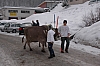 Sennenchilbi 2006 (045).jpg Sennenchilbi 2006 (045).jpg