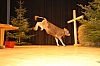 SC_475.jpg SC_475.jpg