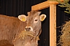 SC_476.jpg SC_476.jpg