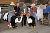 SC_067.jpg SC_067.jpg
