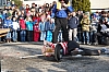 DSC_0367.jpg DSC_0367.jpg