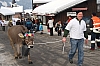 DSC_0077.jpg DSC_0077.jpg
