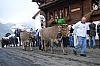 DSC_0132.jpg DSC_0132.jpg