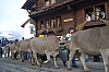 DSC_0134.jpg DSC_0134.jpg