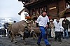 DSC_0137.jpg DSC_0137.jpg