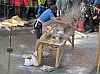 20160208 (27).jpg