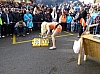 P1010857.jpg