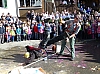 P1020245.jpg P1020245.jpg