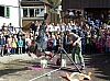 P1020246.jpg P1020246.jpg