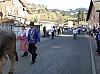 P1020149.jpg P1020149.jpg