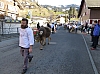 P1020150.jpg P1020150.jpg